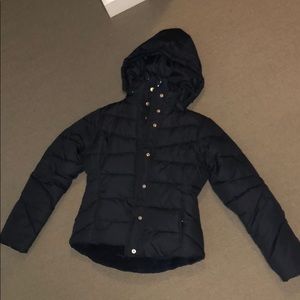 Navy Blue Sarah Jessica Parker Puffer Jacket